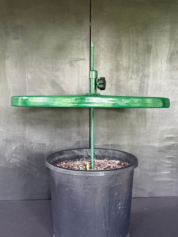 The Cola Cultivator locked on a plant stake, held level above a black nursery pot