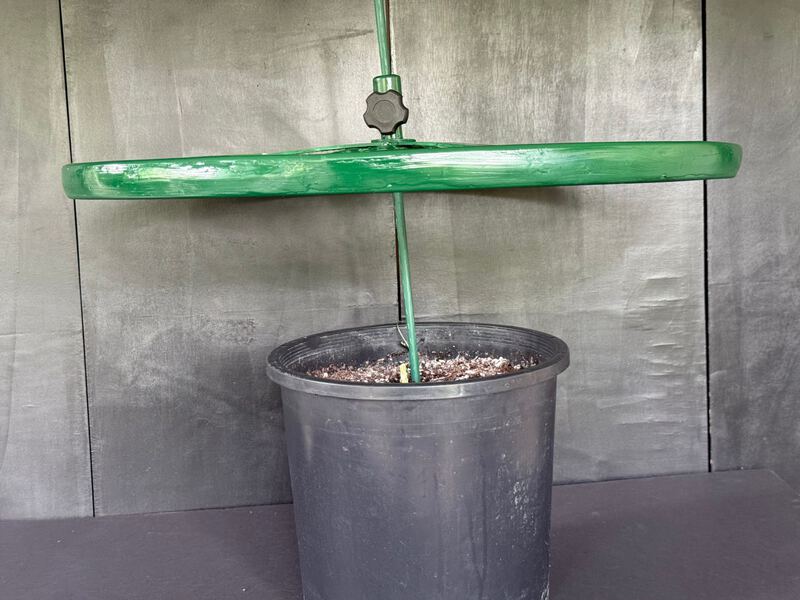 Side view of the Cola Cultivator locked level on a plant stake above a nursery pot